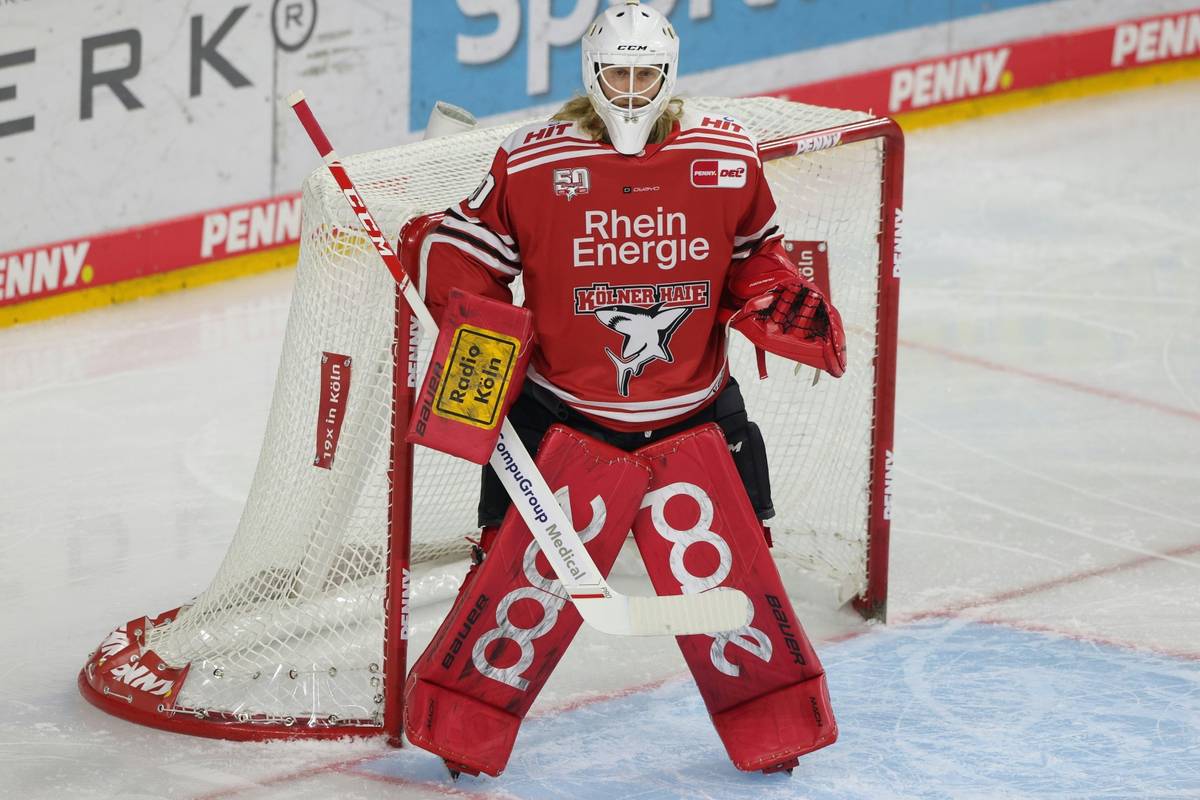 DEL: Frankfurt holt Goalie aus Köln
