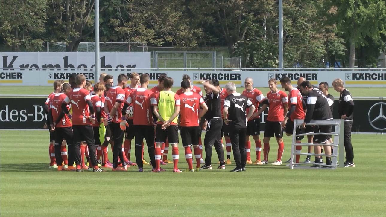 Stevens schimpft: „Affen seid ihr“