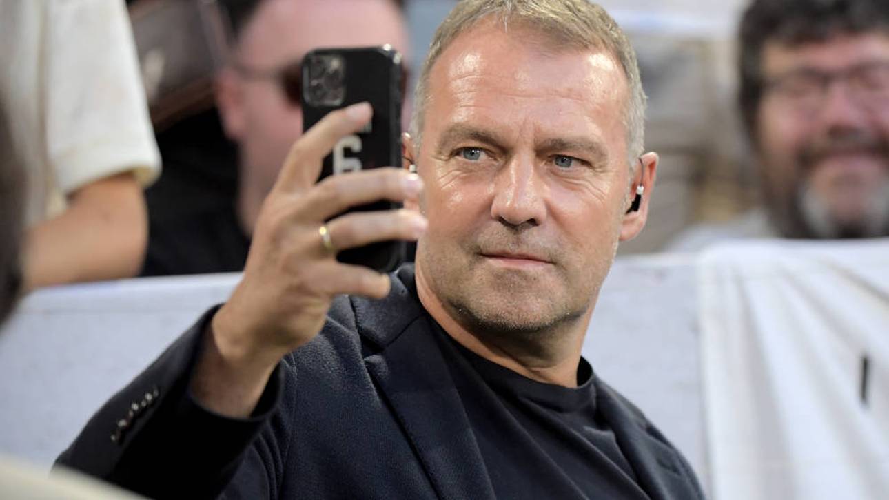 DFB-Stars sollten von Gänsen lernen!