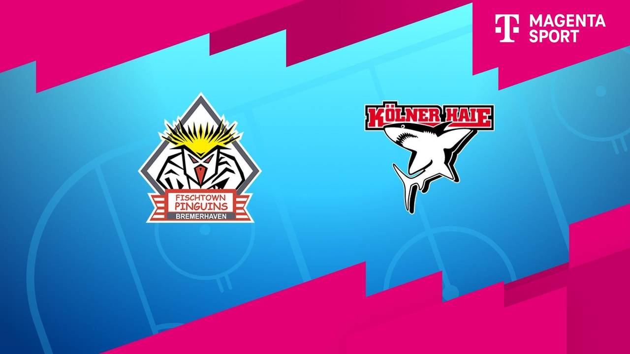 Haie trennen sich von Topspieler