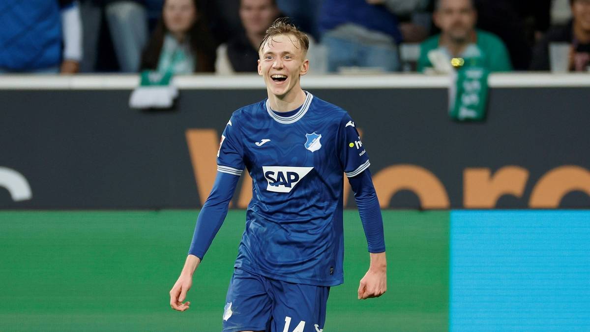 MAXIMILIAN BEIER  (TSG Hoffenheim/21 Jahre/0 Länderspiele)