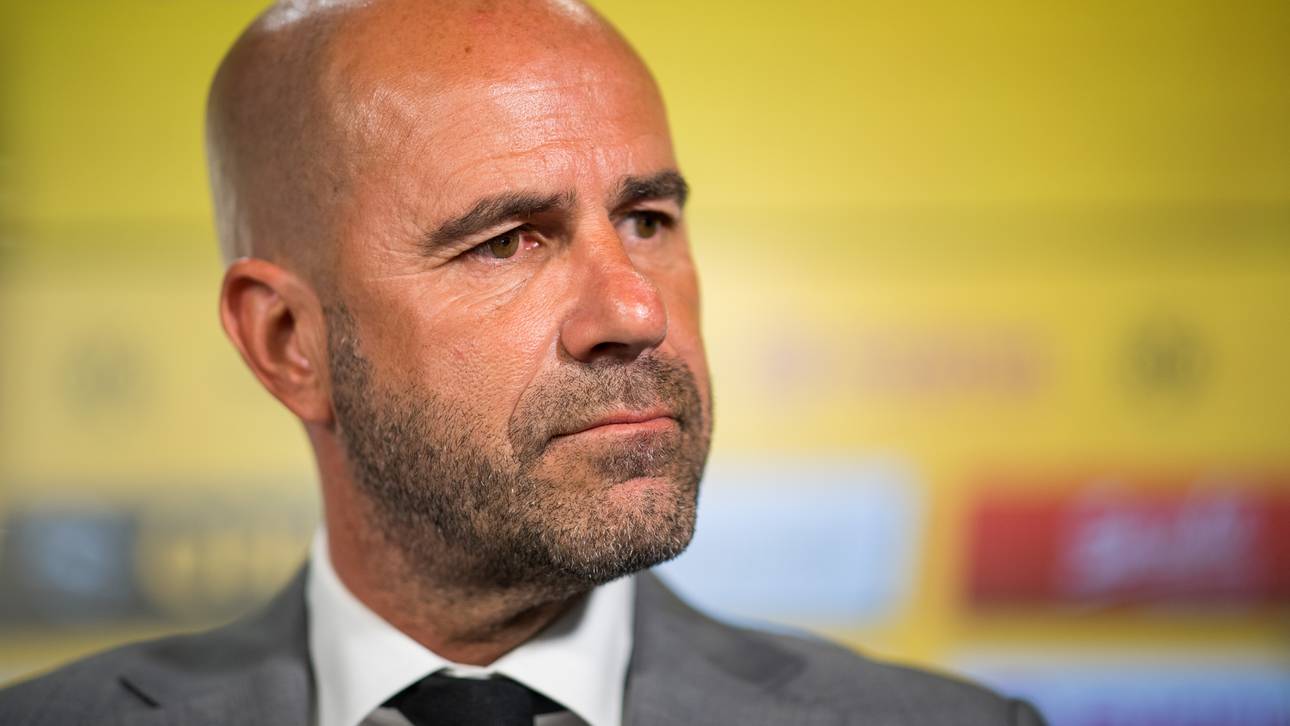 Trapp zum BVB? Das sagt Bosz