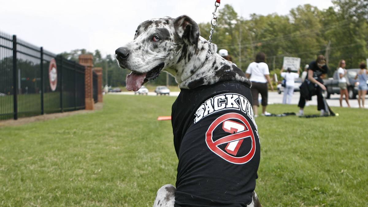 Gewalt gegen Tiere wird im Spygate-Jahr 2007 Michael Vick zum Verhängnis. Die Verwicklung in einen Hundekampf-Ring bringt die damals vielversprechende Karriere des Quarterbacks der Atlanta Falcons zum Erliegen