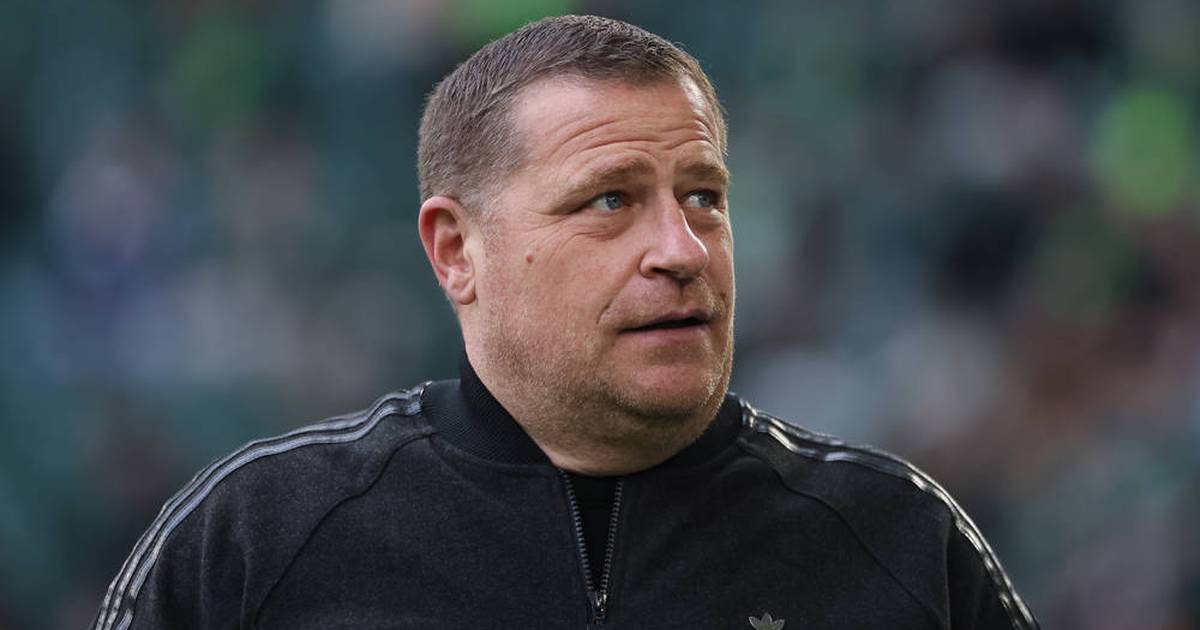 FC Bayern: Wild report on Max Eberl surfaces