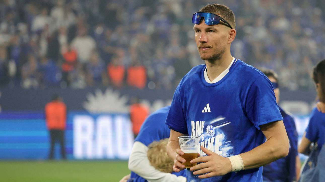„Ich habe noch Hunger“: Dzeko verlängert auf Schalke