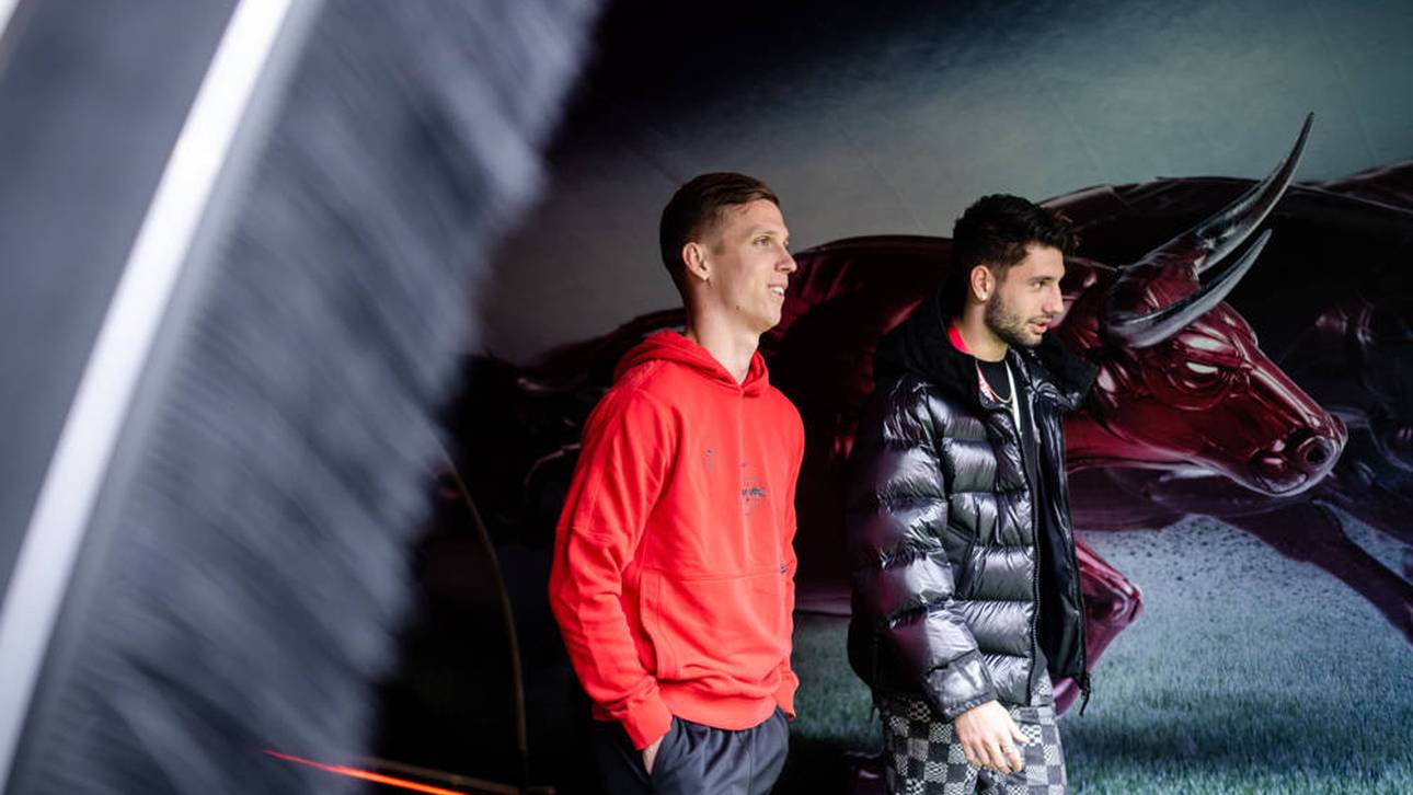 Das 40-Millionen-Schnäppchen