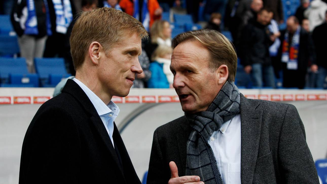 Stuttgart sucht Überraschungstrainer