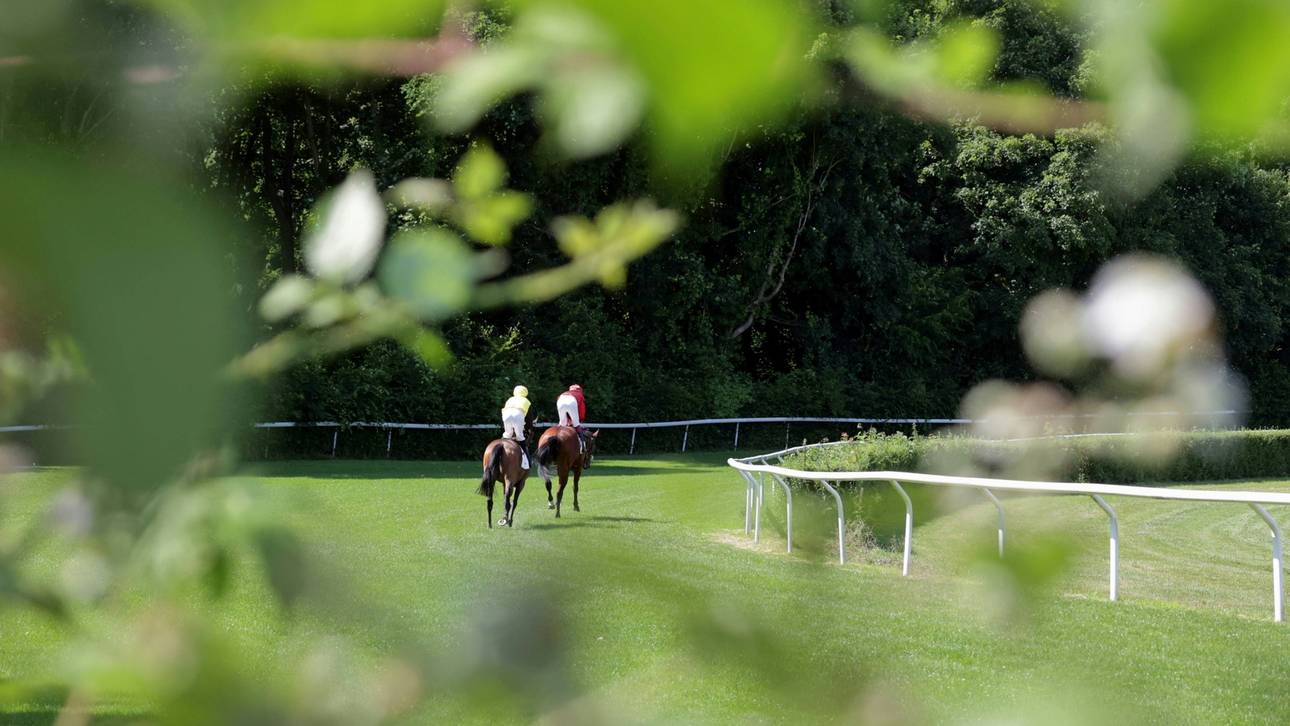 Nicoreni sorgt für Überraschung