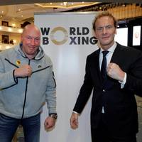 Der Verband World Boxing hat seinen ersten Präsidenten gewählt. Es könnte ein Schritt zurück in die olympische Familie sein.