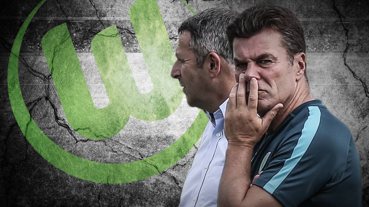 Wolfsburg trennt sich von Hecking
