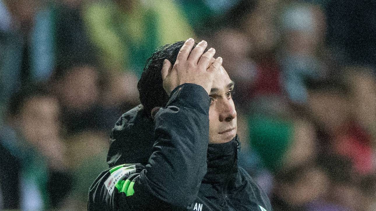 Krisensitzung! Nouri vor dem Aus