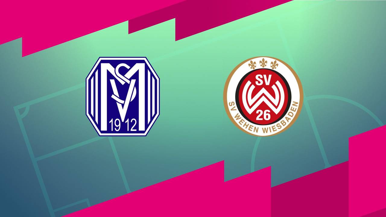 SV Meppen - SV Wehen Wiesbaden (Highlights)