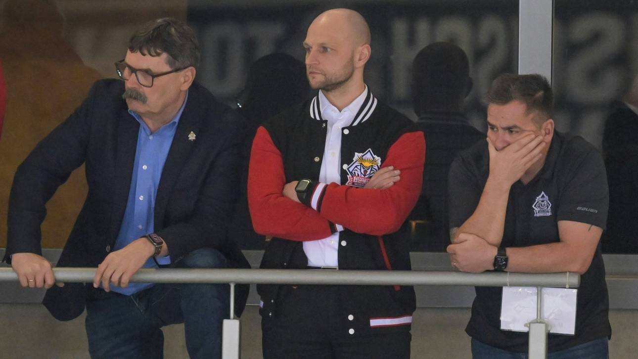 „Traumkandidat“ verzückt Pinguins