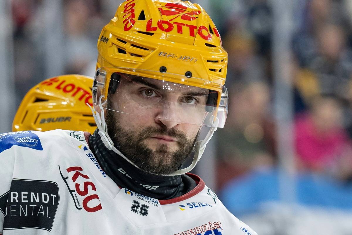 Kölner Haie holen "physisch-starken" Stürmer