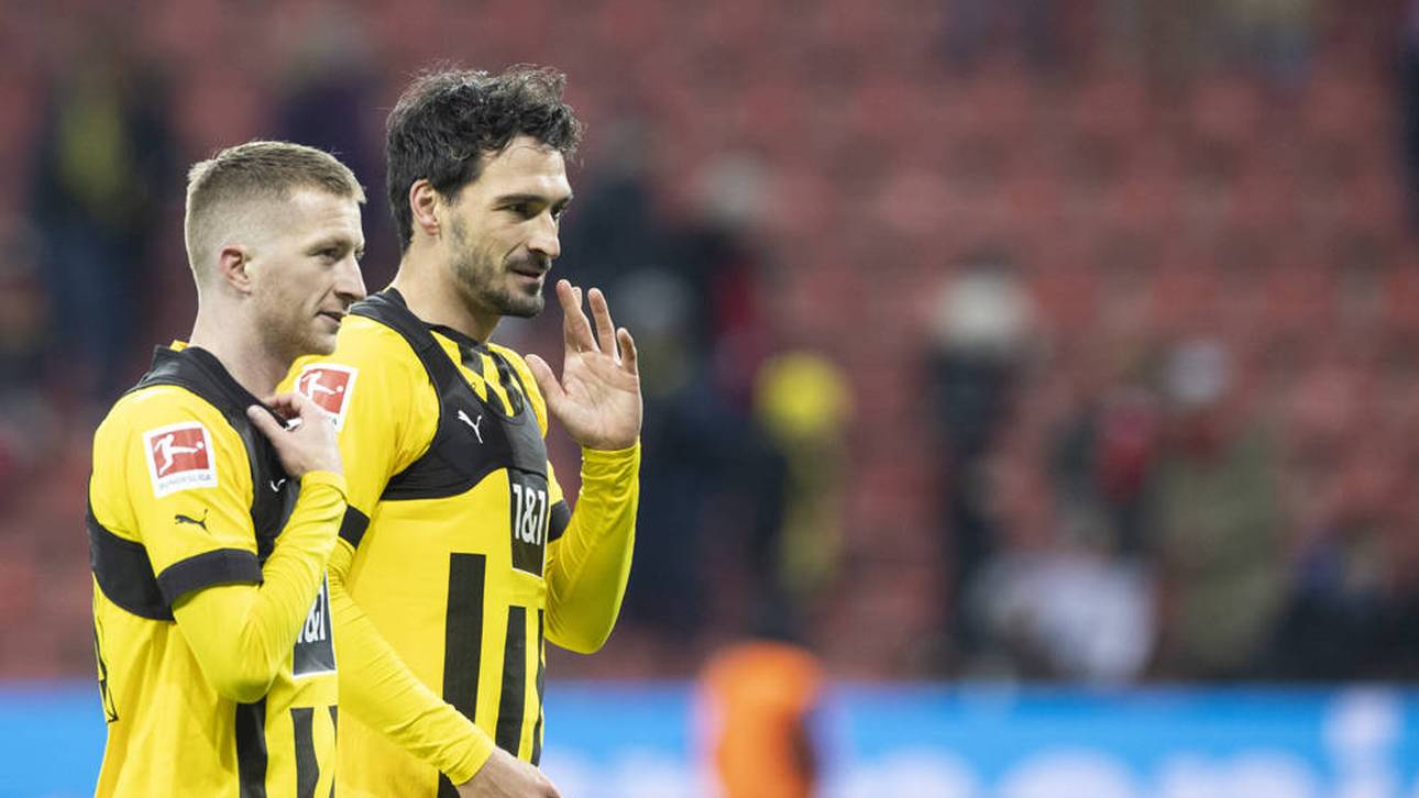 Basler mit vernichtendem BVB-Urteil