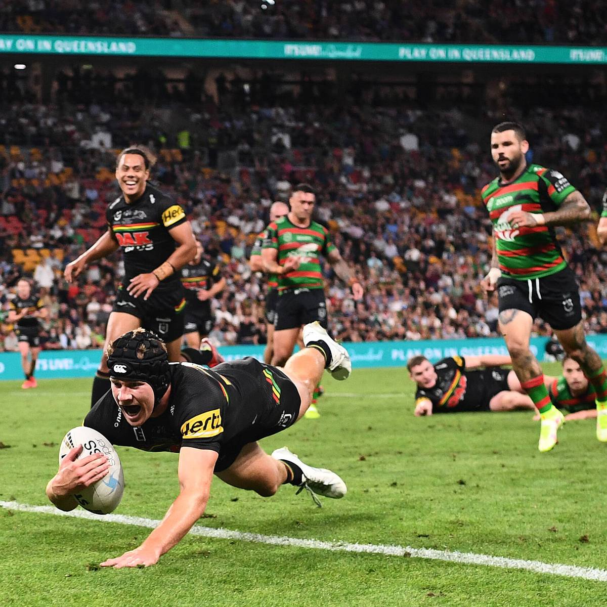 Rugby LIVE auf SPORT1+ National Rugby League aus Australien gilt als beste Liga der Welt