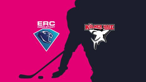 ERC Ingolstadt - Kölner Haie: Tore und Highlights | PENNY DEL