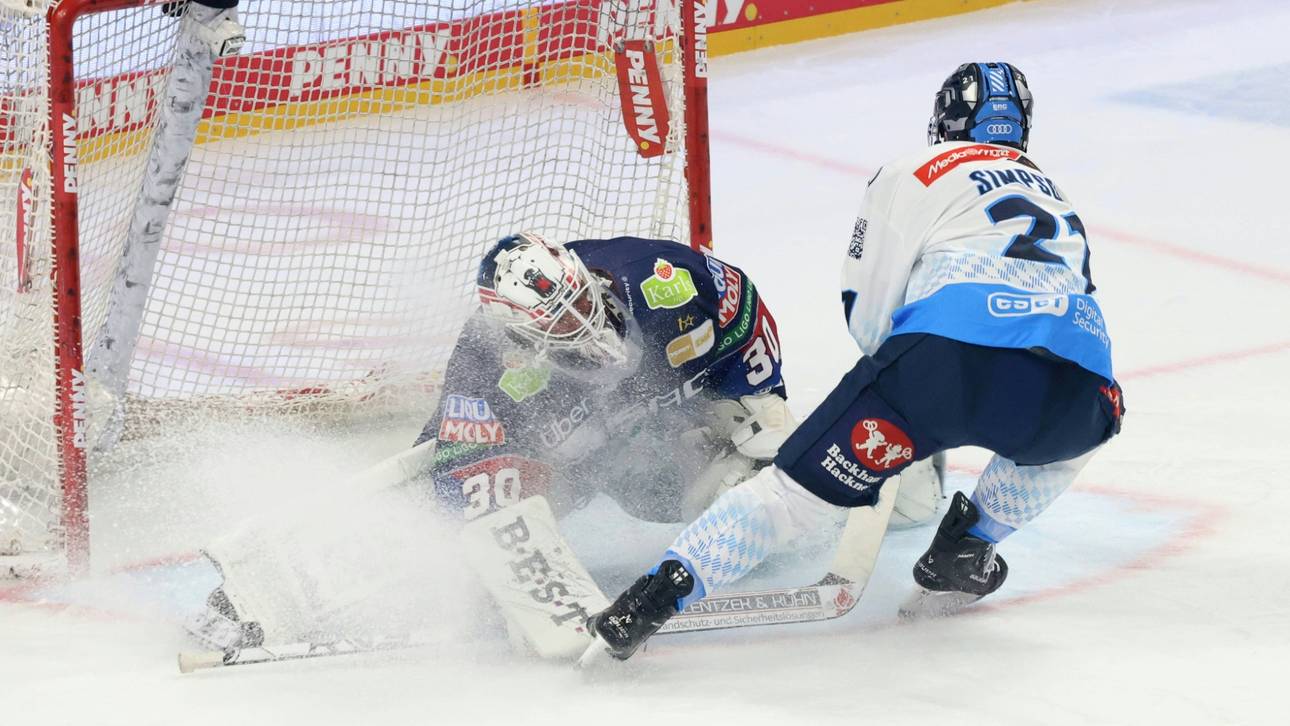 Eisbären verlieren Gipfeltreffen
