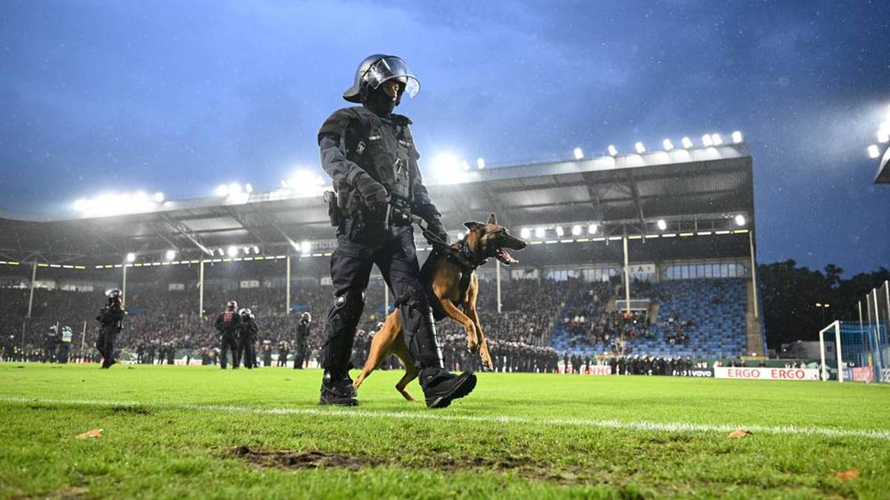 Die Polizei rückte mit Hunden und Pferden an