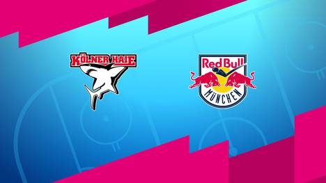 Kölner Haie - EHC Red Bull München: Tore und Highlights | PENNY DEL