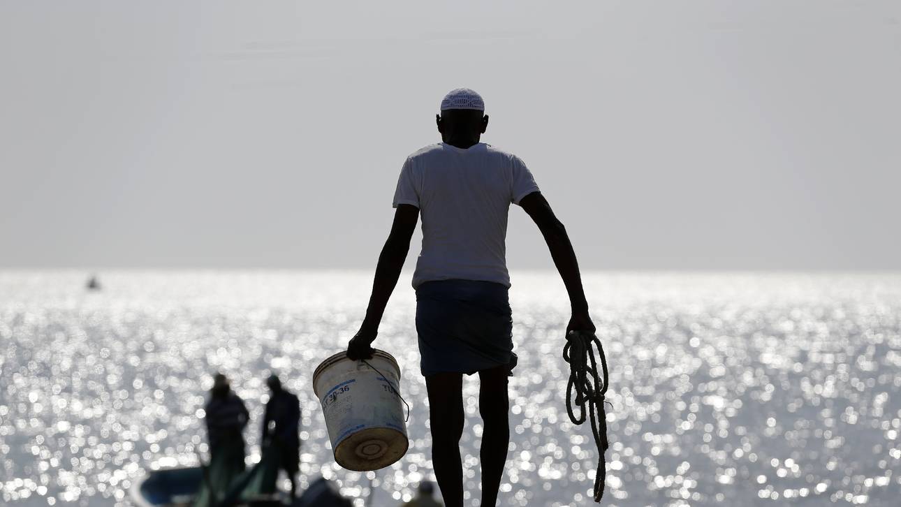 Haijagd: Ärger für Teneriffa-Profis