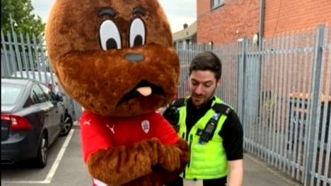 Kuriose Szene! Nach dem sportlichen Misserfolg und dem Abstieg in die dritte englische Liga wurde das Maskottchen des FC Barnsley von der Polizei festgenommen!