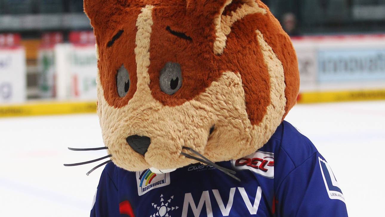 Adler Mannheim v Eisbaeren Berlin - DEL