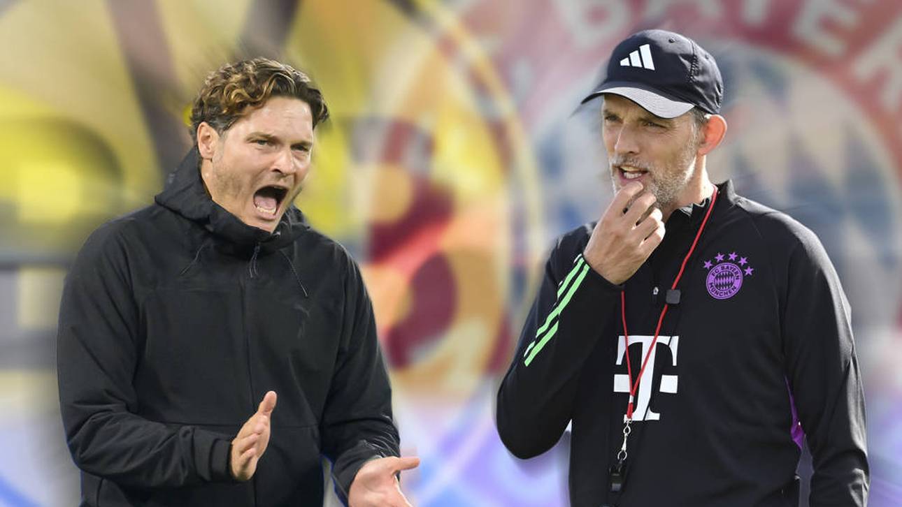 Fans glauben an BVB-Sieg