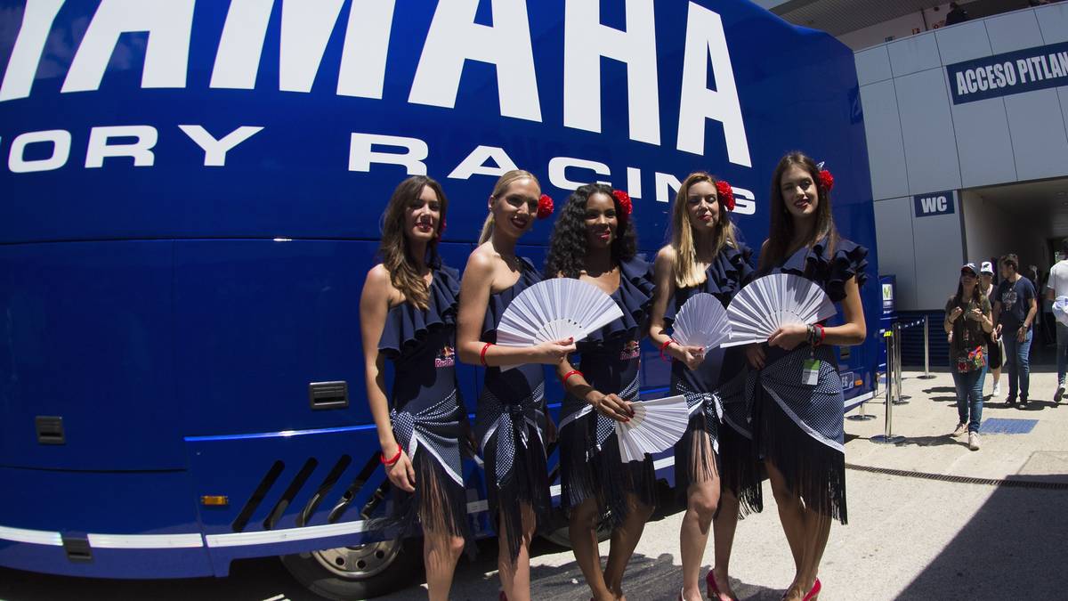 Da sei es ihnen gegönnt, dass sie sich bisweilen an ein flauschiges Plätzchen zurückziehen