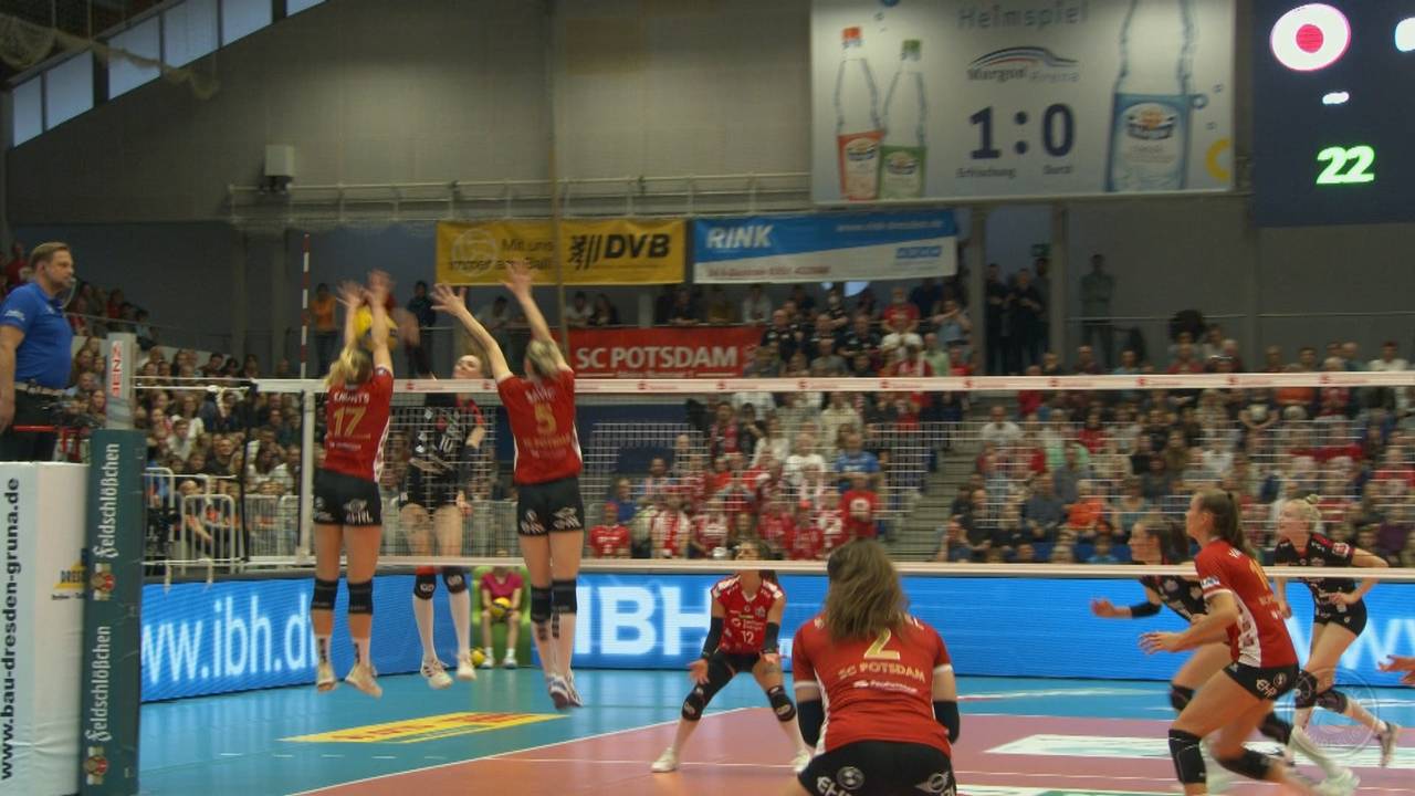 Volleyball Bundesliga: SC Potsdam blockt sich gegen Dresdner SC zum Auftaktsieg