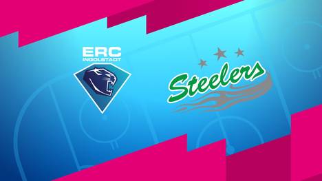 ERC Ingolstadt - Bietigheim Steelers: Tore und Highlights | PENNY DEL