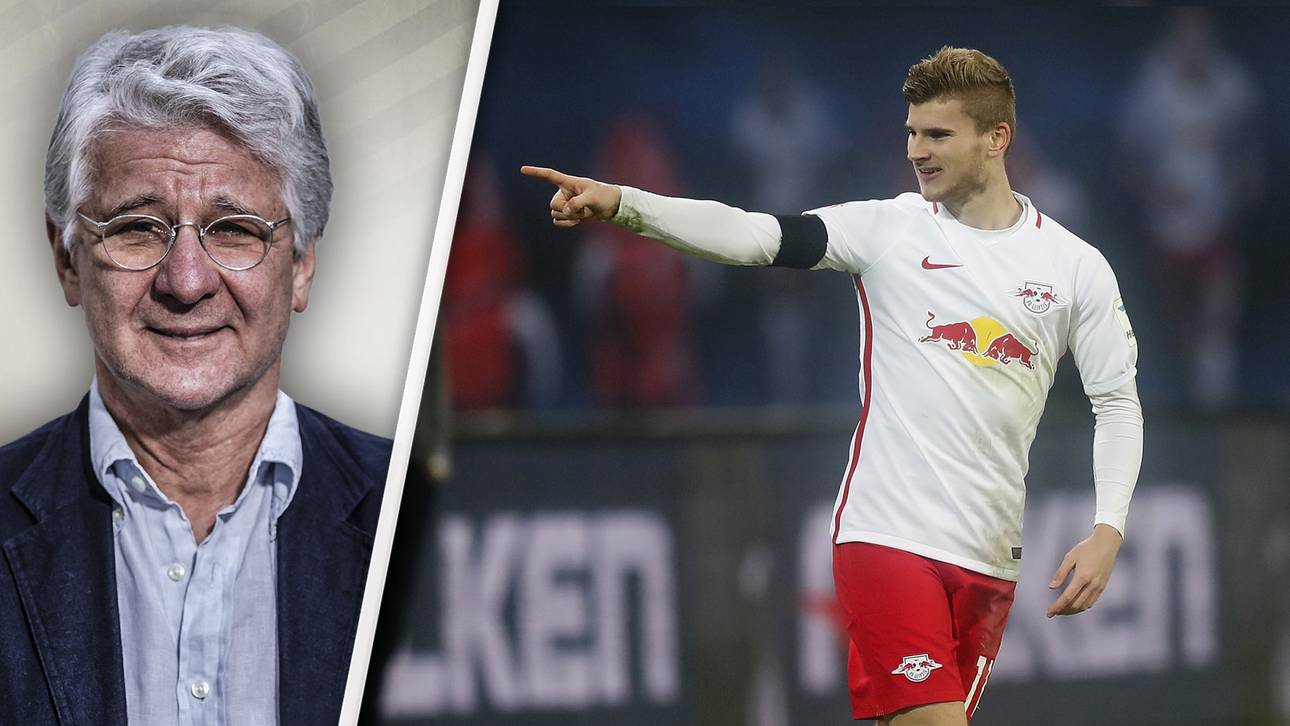 „Man muss Werner den Hintern versohlen“