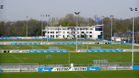 Die U17 des FC Schalke lieferte eine starke Leistung ab