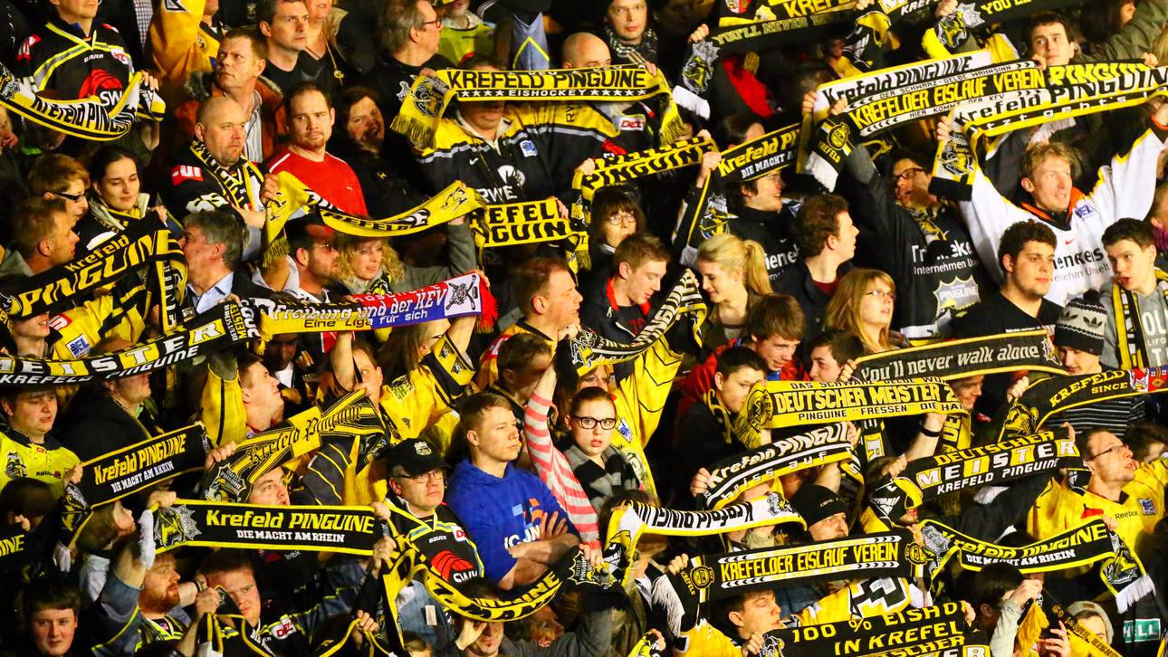 Neuer Mietvertrag für Pinguine