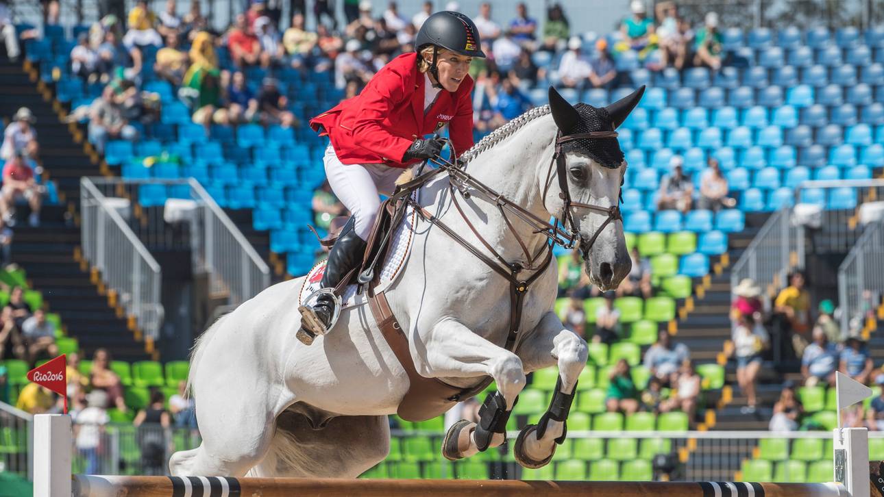 Springreiter erreichen Finale