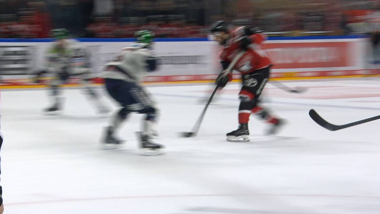 Kölner Haie – Eisbären Berlin