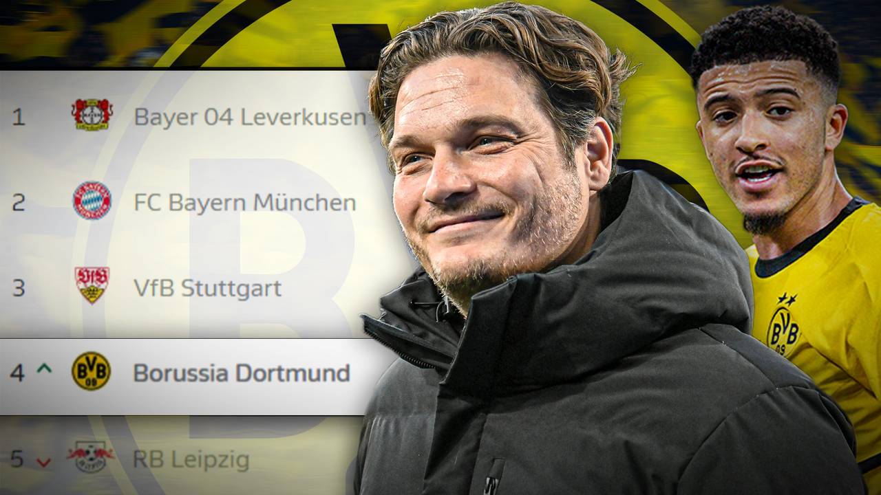 Wirbel um vermeintlichen BVB-Treffer