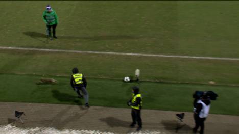 Ein tierischer Besucher liefert an der Kieler Förde eine unterhaltsame Halbzeit-Show ab.