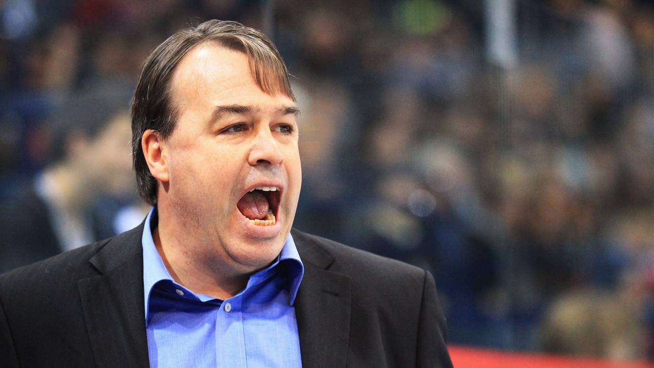 Hamburg holt Roosters-Verteidiger