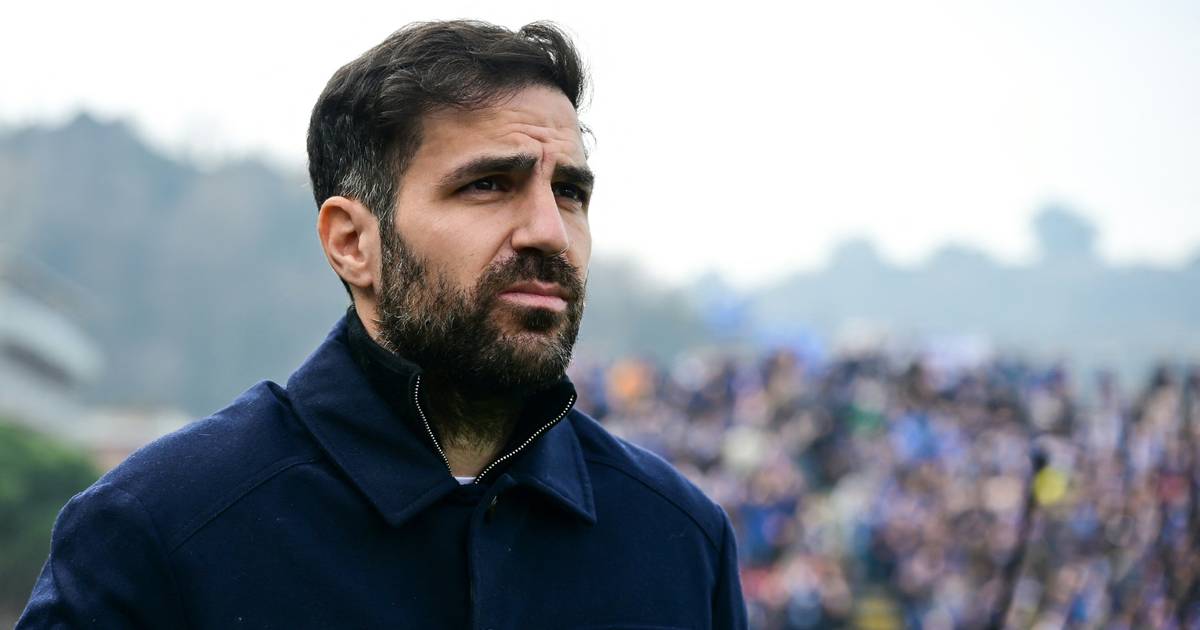 Media: Fabregas wants to stay in Como