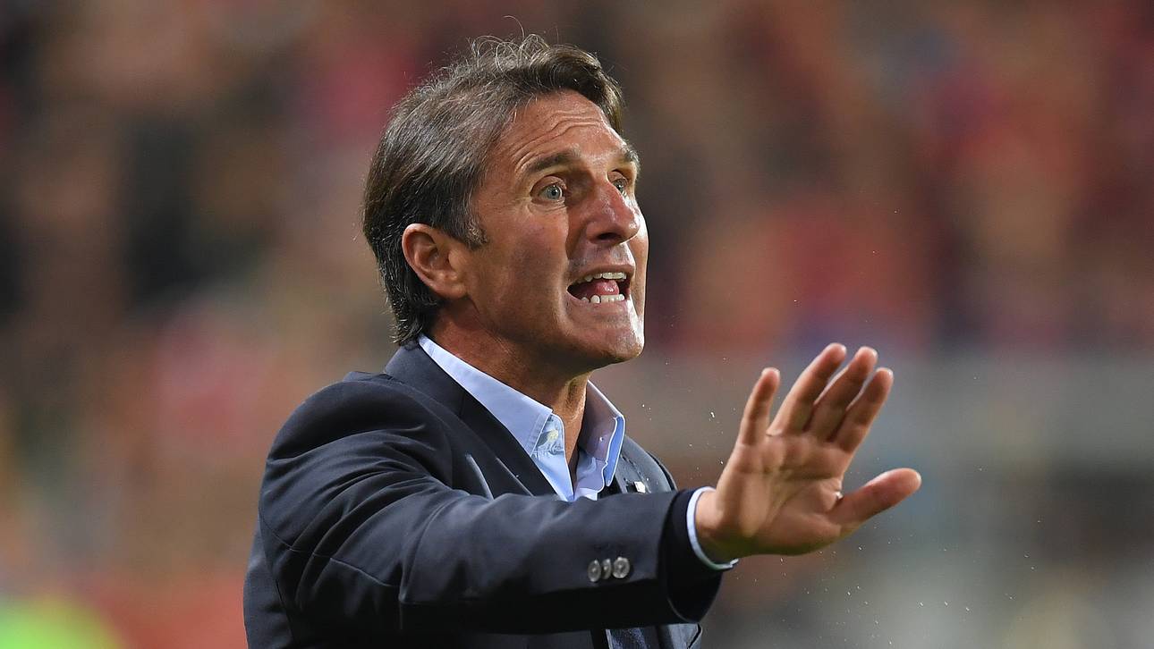 Beiersdorfer zählt Labbadia an