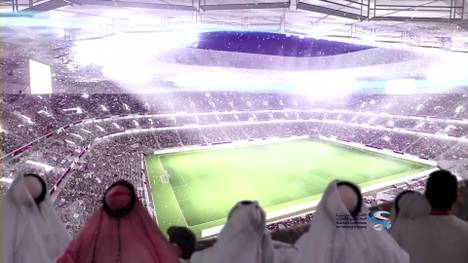 Katar bekam Ende 2010 den Zuschlag für die WM 2022 