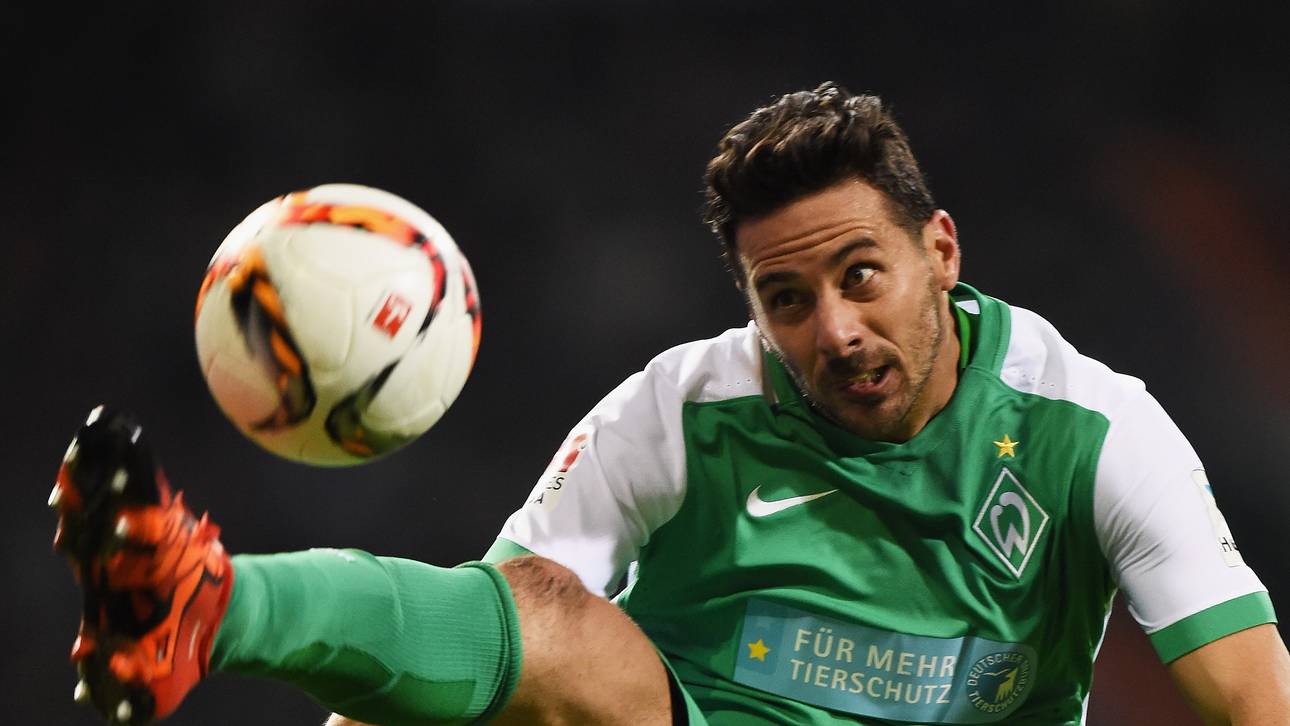 Pizarro erreicht nächsten Meilenstein