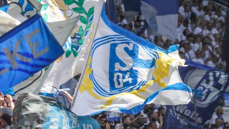 Schalke-Fans jubeln ihrem Team zu