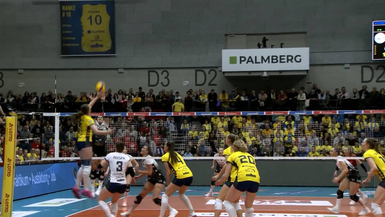 Volleyball Bundesliga: SSC Palmberg Schwerin schlägt Dresdner SC im VBL-Topspiel