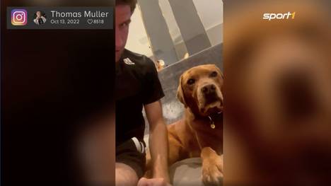 Der FC Bayern München schlägt Viktoria Pilsen mühelos und steht im Achtelfinale der Champions League. Kurz nach dem Spiel meldet sich Thomas Müller auf Instagram. 