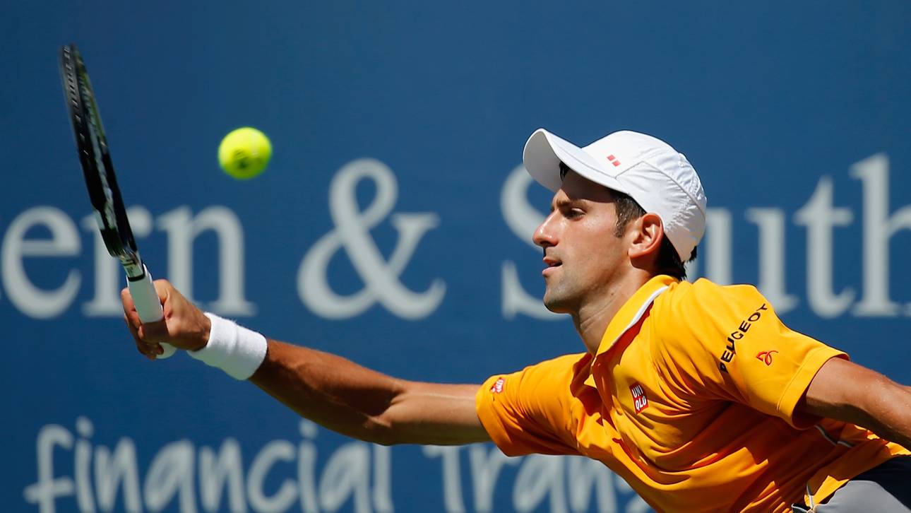 Djokovic im Finale gegen Federer