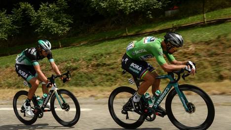 Peter Sagan gewann bereits fünf Mal das Grüne Trikot bei der Tour de France