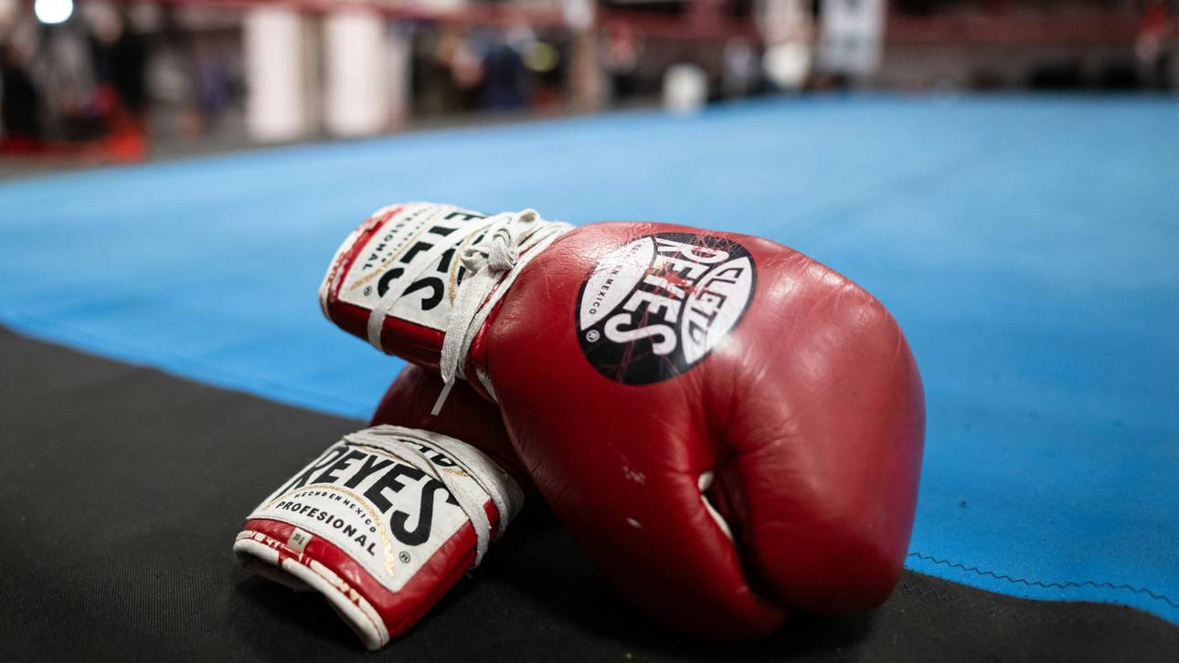 Nach Toden: Japan verschärft Regeln