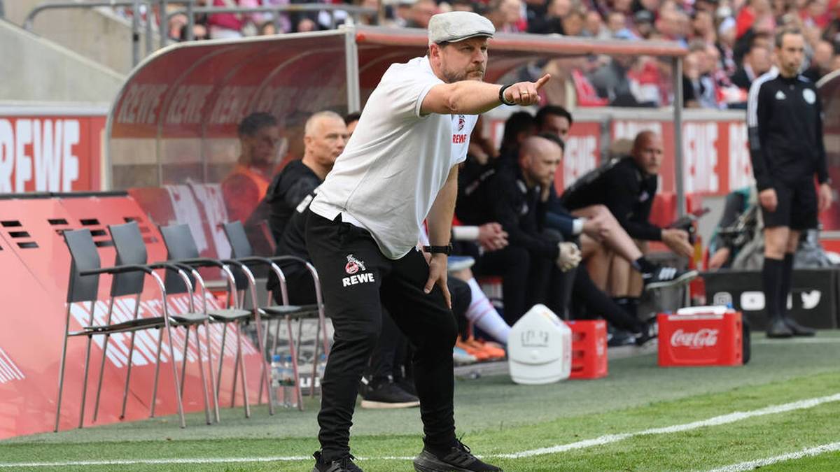 Steffen Baumgart hat dem 1. FC Köln neues Leben eingehaucht